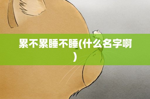 累不累睡不睡(什么名字啊)