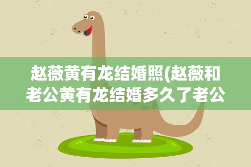赵薇黄有龙结婚照(赵薇和老公黄有龙结婚多久了老公什么背景)