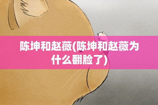 陈坤和赵薇(陈坤和赵薇为什么翻脸了)