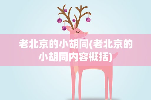 老北京的小胡同(老北京的小胡同内容概括)