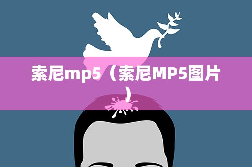 索尼mp5（索尼MP5图片）