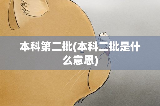 本科第二批(本科二批是什么意思)