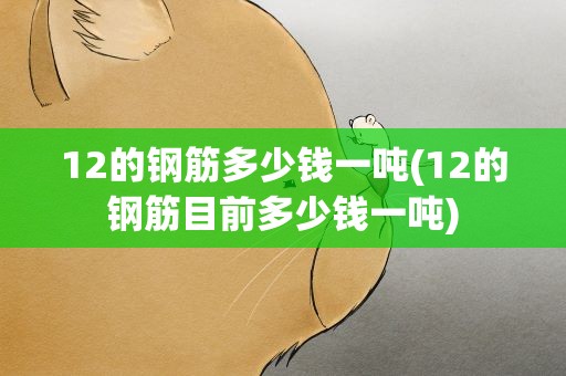 12的钢筋多少钱一吨(12的钢筋目前多少钱一吨)