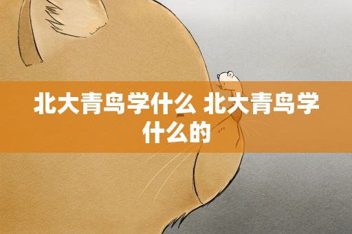 北大青鸟学什么 北大青鸟学什么的