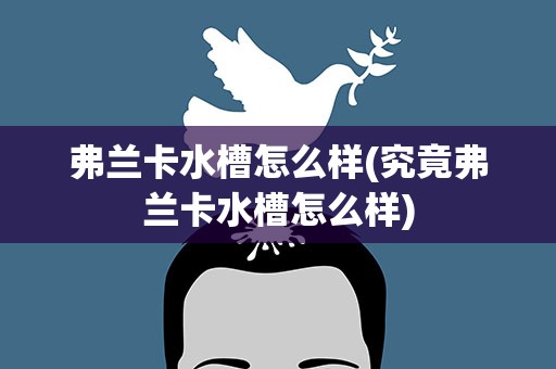 弗兰卡水槽怎么样(究竟弗兰卡水槽怎么样)