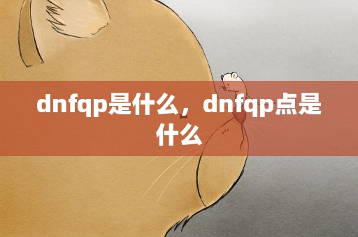 dnfqp是什么，dnfqp点是什么