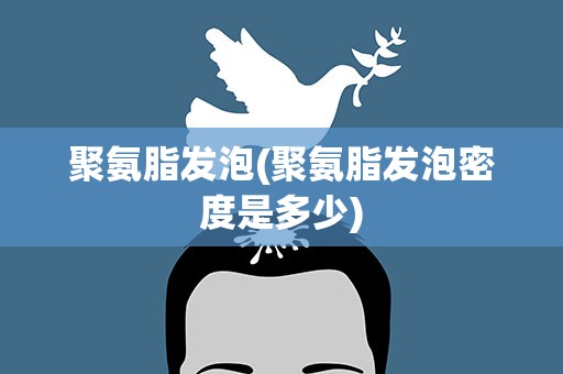聚氨脂发泡(聚氨脂发泡密度是多少)