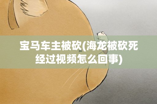 宝马车主被砍(海龙被砍死经过视频怎么回事)