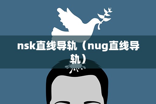 nsk直线导轨（nug直线导轨）