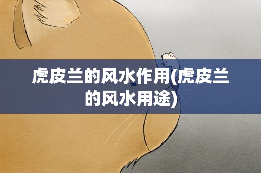 虎皮兰的风水作用(虎皮兰的风水用途)