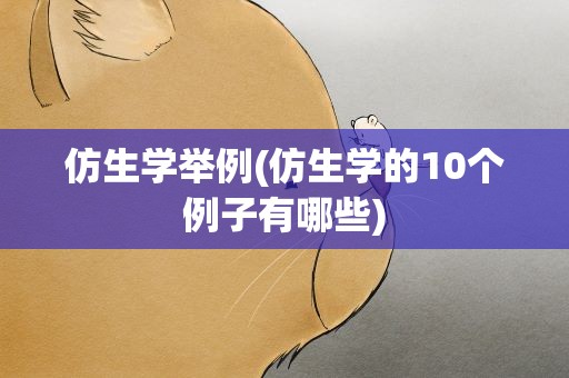 仿生学举例(仿生学的10个例子有哪些)