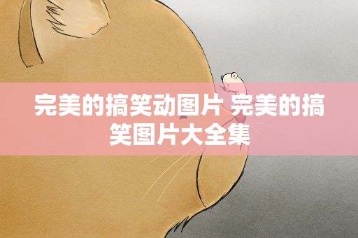 完美的搞笑动图片 完美的搞笑图片大全集