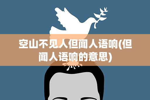 空山不见人但闻人语响(但闻人语响的意思)
