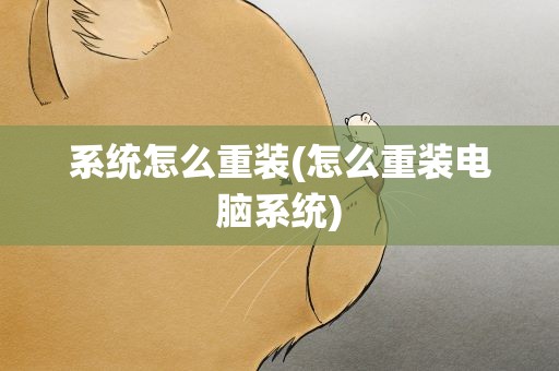 系统怎么重装(怎么重装电脑系统)