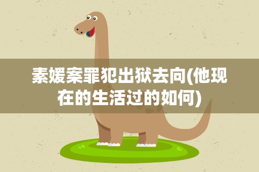 素媛案罪犯出狱去向(他现在的生活过的如何)