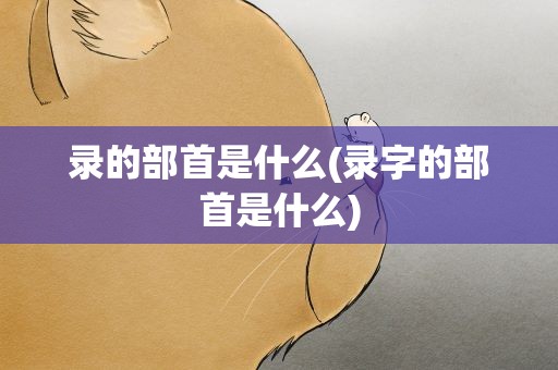 录的部首是什么(录字的部首是什么)