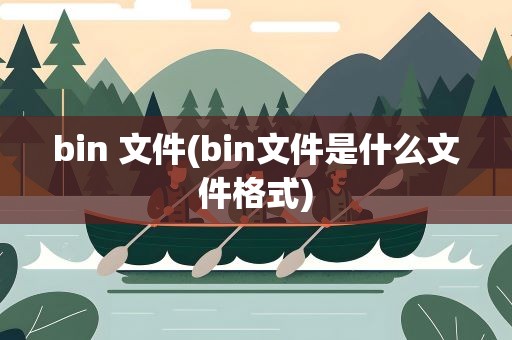 bin 文件(bin文件是什么文件格式)