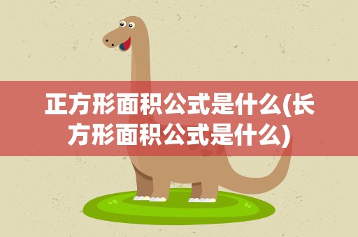 正方形面积公式是什么(长方形面积公式是什么)
