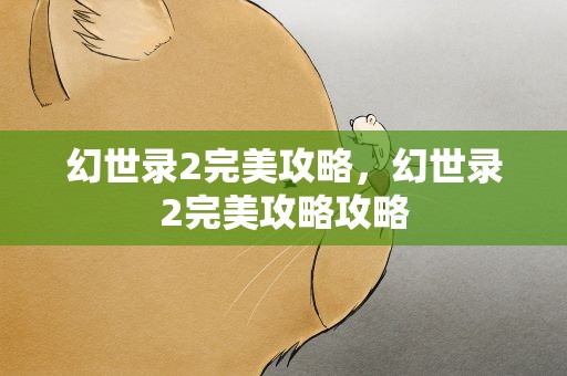 幻世录2完美攻略，幻世录2完美攻略攻略