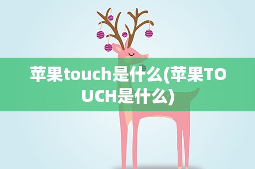 苹果touch是什么(苹果TOUCH是什么)