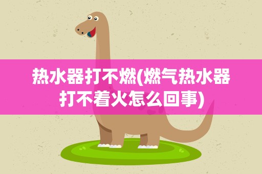 热水器打不燃(燃气热水器打不着火怎么回事)