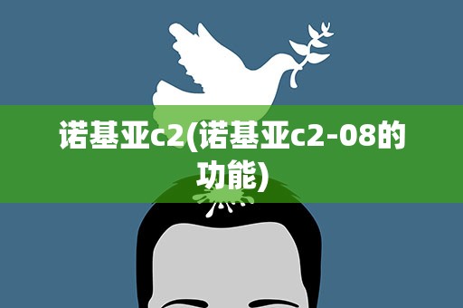 诺基亚c2(诺基亚c2-08的功能)