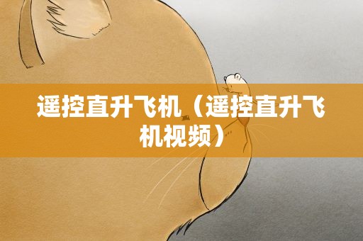 遥控直升飞机（遥控直升飞机视频）