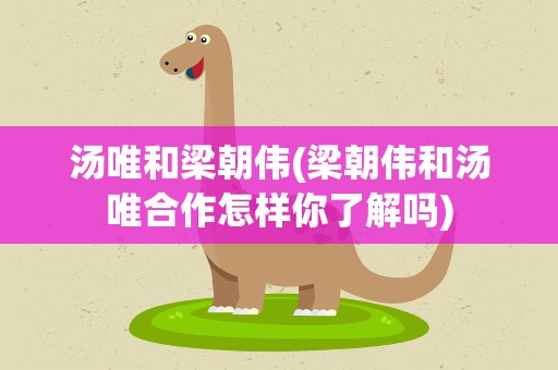 汤唯和梁朝伟(梁朝伟和汤唯合作怎样你了解吗)