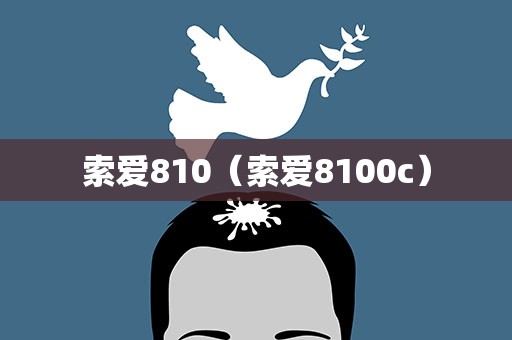 索爱810（索爱8100c）