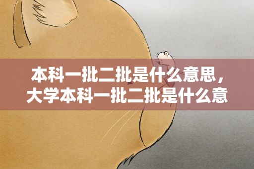 本科一批二批是什么意思，大学本科一批二批是什么意思
