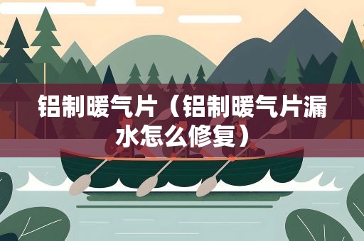 铝制暖气片（铝制暖气片漏水怎么修复）