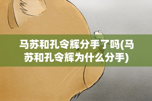 马苏和孔令辉分手了吗(马苏和孔令辉为什么分手)