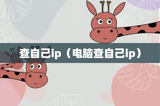 查自己ip（电脑查自己ip）