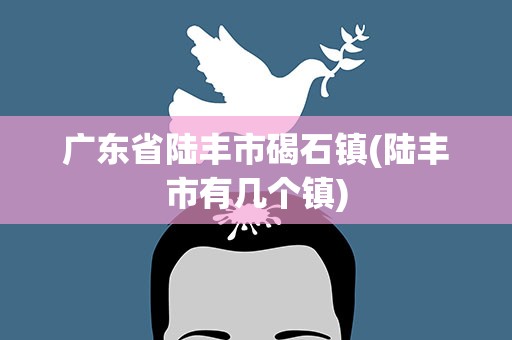 广东省陆丰市碣石镇(陆丰市有几个镇)