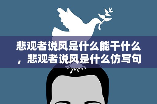 悲观者说风是什么能干什么，悲观者说风是什么仿写句子
