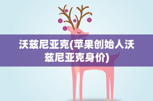 沃兹尼亚克(苹果创始人沃兹尼亚克身价)