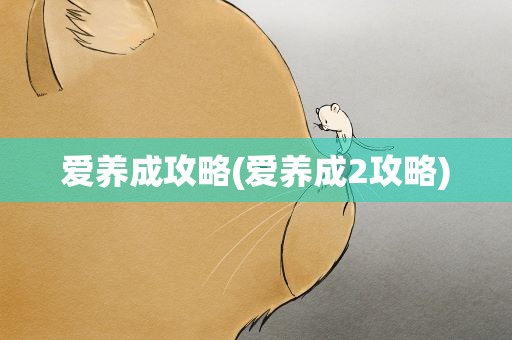 爱养成攻略(爱养成2攻略)
