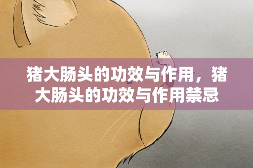 猪大肠头的功效与作用，猪大肠头的功效与作用禁忌