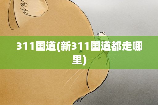 311国道(新311国道都走哪里)