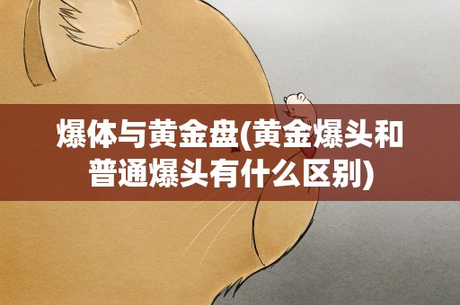 爆体与黄金盘(黄金爆头和普通爆头有什么区别)