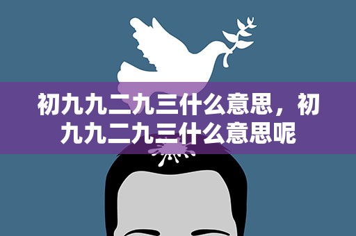 初九九二九三什么意思，初九九二九三什么意思呢