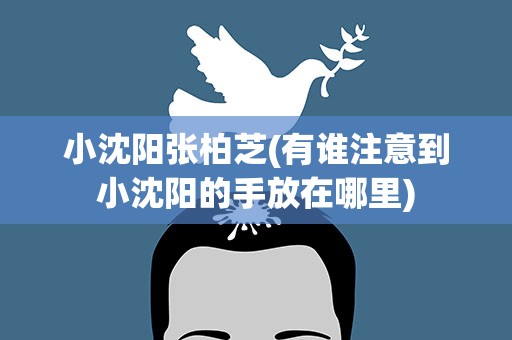 小沈阳张柏芝(有谁注意到小沈阳的手放在哪里)
