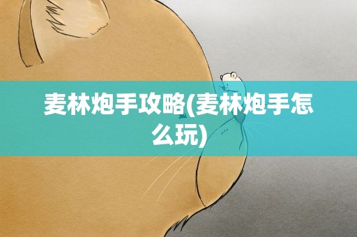 麦林炮手攻略(麦林炮手怎么玩)