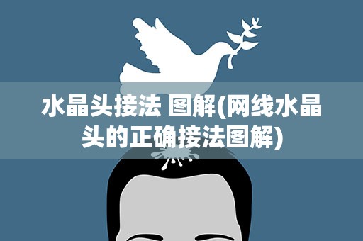 水晶头接法 图解(网线水晶头的正确接法图解)