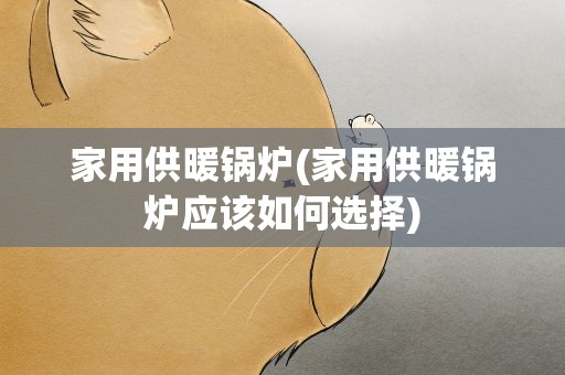 家用供暖锅炉(家用供暖锅炉应该如何选择)