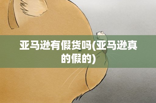 亚马逊有假货吗(亚马逊真的假的)