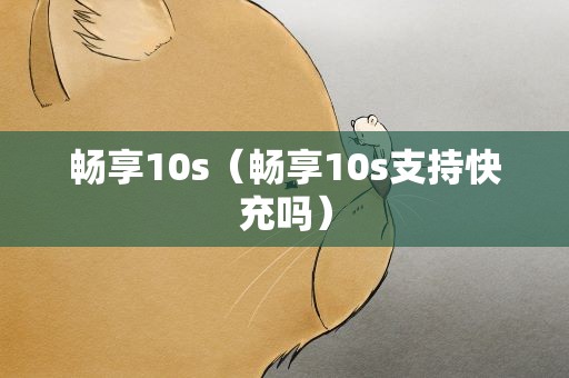 畅享10s（畅享10s支持快充吗）