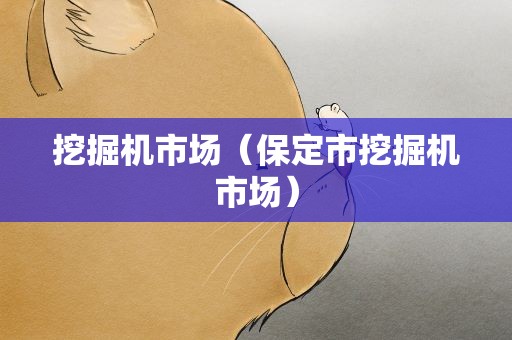 挖掘机市场（保定市挖掘机市场）