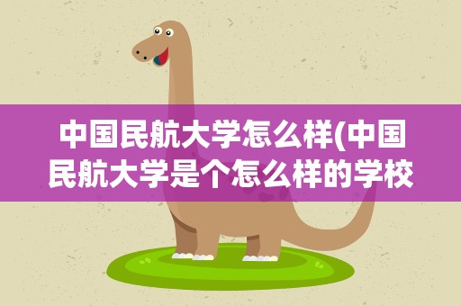 中国民航大学怎么样(中国民航大学是个怎么样的学校)