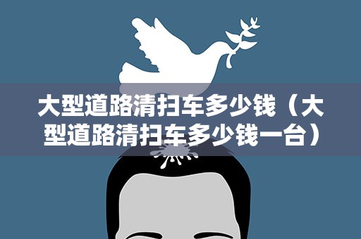 大型道路清扫车多少钱（大型道路清扫车多少钱一台）